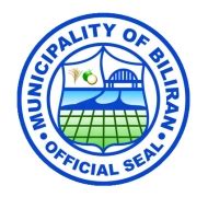 municipalities of biliran province|About Biliran .